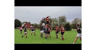Image result for Widden Old Boys Rfc