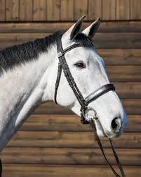 Image result for Jp-Sheffield Eventing