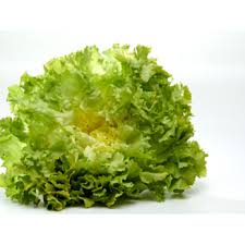 Image result for Endivie