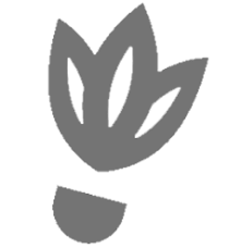 Image result for Basingstoke Racketeers Badminton Club