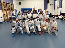 Image result for Everitt Karate Academy