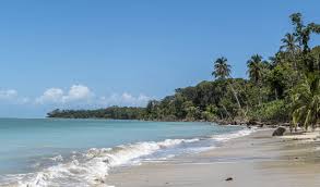 Image result for cahuita costa rica