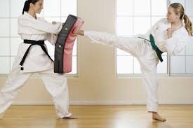 Image result for Kyoku Kenjutsu Kai