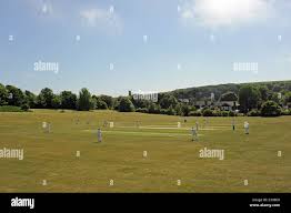 Image result for South Weald Cricket Club
