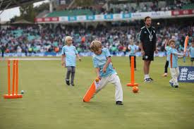 Image result for Claygate Cricket Club