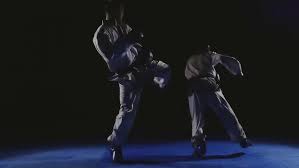 Image result for English International Allstyles Taekwon-Do