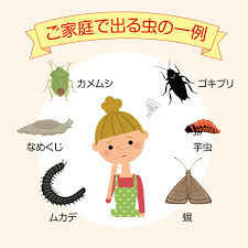 Image result for ゴキブリ報告所