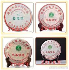 Image result for 2009早春