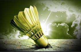 Image result for Kirkham Charter Badminton Club