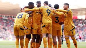 Image result for Molineux Netball Club