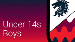 Image result for Epsom Junior Cricket Club