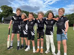 Image result for Hampton Hill Cricket Club