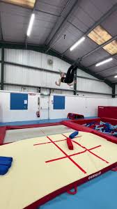 Image result for Swallows Trampoline Club