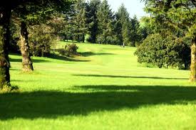 Image result for Carmarthen Golf Club