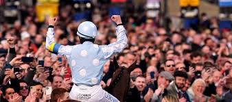 Image result for Cheltenham and County Harriers