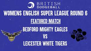 Image result for Bedford Tigers Tchoukball Club