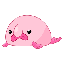 Image result for blobfish