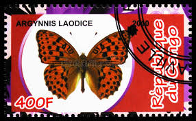 Attēlu rezultāti vaicājumam “Argynnis laodice male”