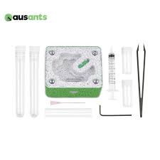 Image result for ytong ants