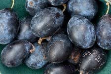 Attēlu rezultāti vaicājumam “Prunus domestica subsp. insitita fruit”