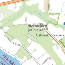 Attēlu rezultāti vaicājumam “Dryophilocoris flavoquadrimaculatus imago”