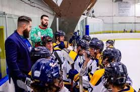 Image result for Waverley & Inveresk Hockey Club