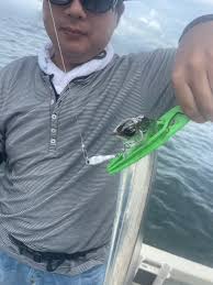 Image result for 全員28号CP