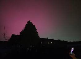 Afbeeldingsresultaat voor northern lights tomato