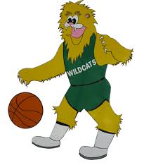 Image result for Nottingham Wildcats