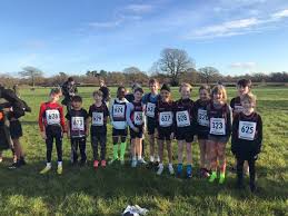 Image result for Birmingham Running & Triathlon Club