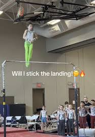 Image result for Thornton Sport Gymnastics