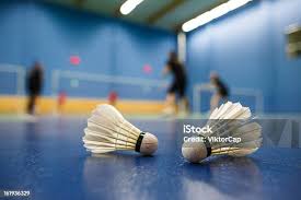 Image result for Shuttlecocks Badminton Club