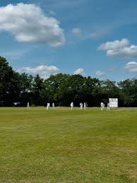 Image result for Wokingx1 Cricket Club