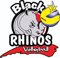 Image result for Rhinos Volleyball Club