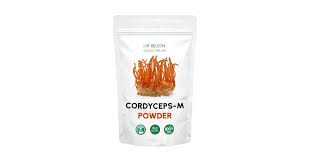 Attēlu rezultāti vaicājumam “Cordyceps polyarthra”