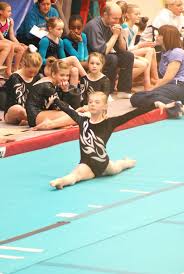 Image result for Harrogate School Of Gymnastics