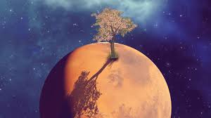 Image result for mars trees