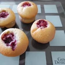 Image result for visitandines