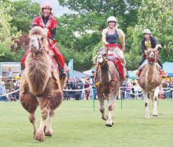 Image result for The Chobham Common Riders Association