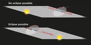 Attēlu rezultāti vaicājumam “Panolis umbra”