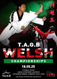 Image result for Swansea Taekwondo Club