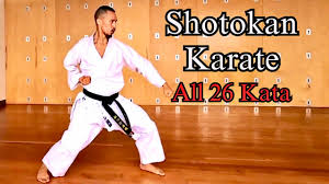 Image result for Shotokan Karate