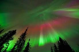 Image result for Northern