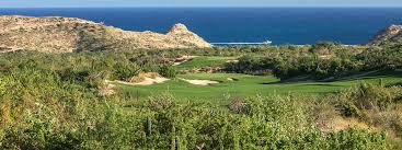 Image result for Dolphina Gc