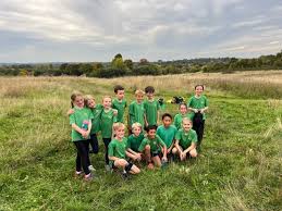 Image result for Worplesdon & Burpham Cricket Club