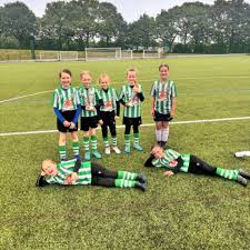 Image result for Tingley Athletic