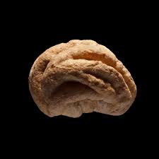 Attēlu rezultāti vaicājumam “Tropaeolum majus fruit”