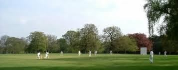 Image result for Lynchmere Cricket Club