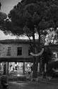 Iyon Pansiyon (Foca, Turkey) - Hotel Reviews - TripAdvisor