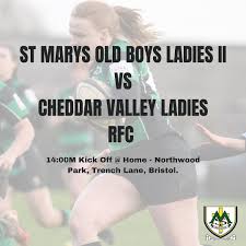Image result for St Mary's Old Boys Rugby Union Football Club